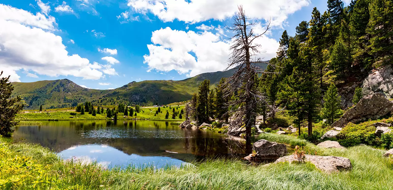 "Nocky Mountains" - Kärntens Naturjuwel "Nocky Mountains" - Kärntens Naturjuwel