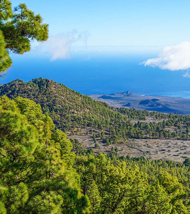 El Hierro – die Insel am Ende der Welt 