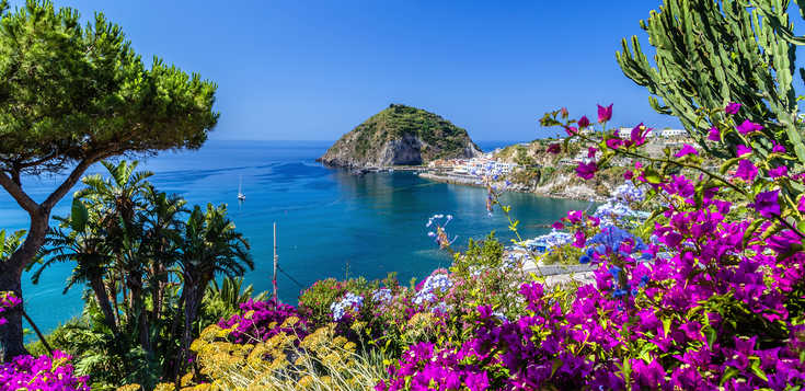 Blühendes Ischia