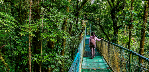 Preisreduzierung Costa Rica Preisreduzierung Costa Rica