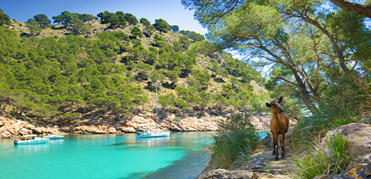 Mallorca