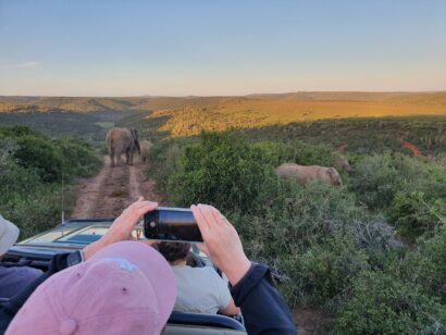 Kapstadt, Gardenroute & Safaris – Reisebericht Südafrika